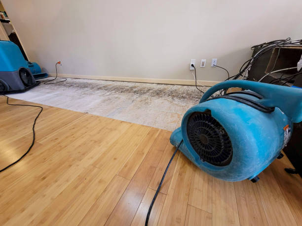 Professional Structural Drying technician working in North Hatfield, MA